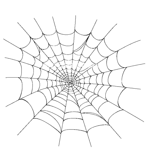 spiderweb